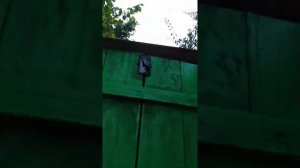 Автономный свет в дачный туалет.