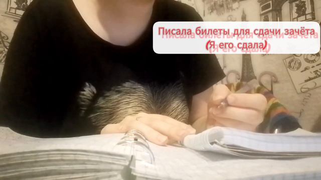 Я вернулась / Куда же я пропала на несколько недель? смотреть онлайн