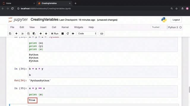 Assigning Values to Variables in Python смотреть онлайн