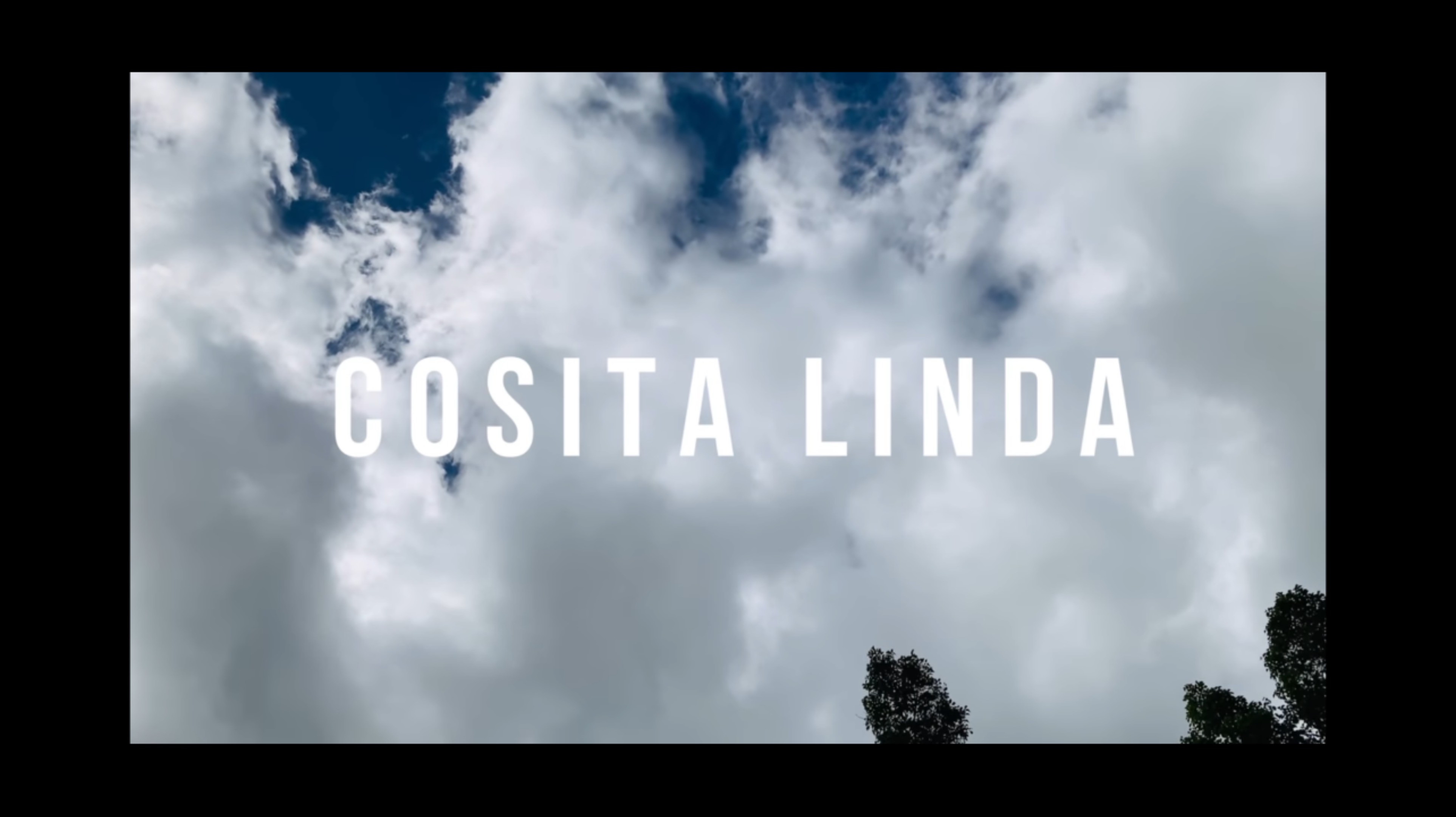 Zumba/ COSITA LINDA/ TML CREW