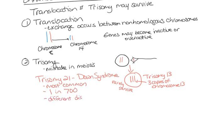 ADAP Chapter 29 Video 2 Inheritance смотреть онлайн