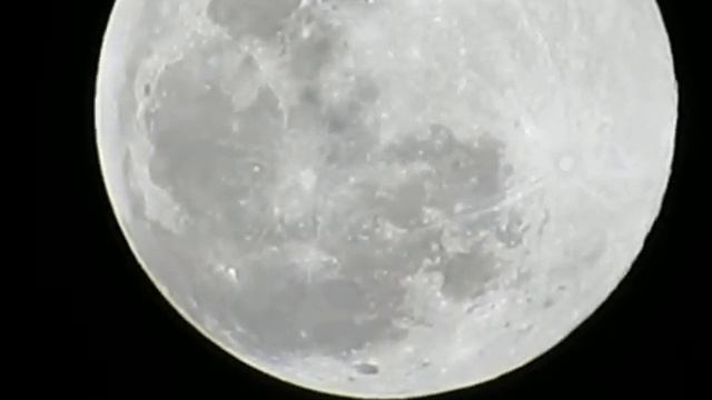 "LUNA!" CANON SX50 HS.. смотреть онлайн