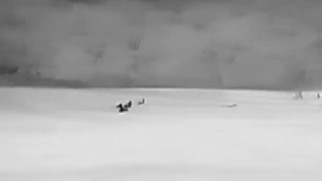 AGM TM-10 256 Thermal monocular spotting deer at 100 yards. смотреть онлайн