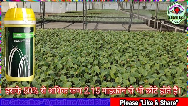 | BASF Cabrio Top | Benefits | Mode of Action | Cabrio Top Fungicide | Dose/ Acre | Best Result | смотреть онлайн