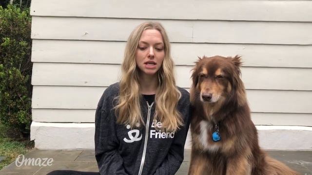 Amanda Seyfried and Her Dog Have a Special Invite for You // Omaze смотреть онлайн