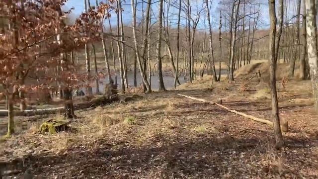 Berlinka - część 2 - relacja live z Ińskiego Parku Krajobrazowego смотреть онлайн