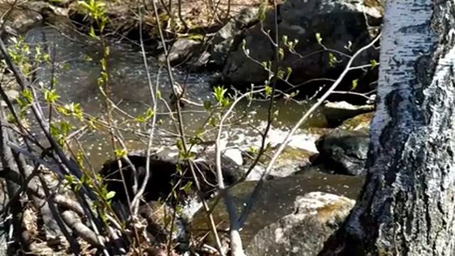 Водопад Гадельша во всей красе. Бурные майские потоки. смотреть онлайн