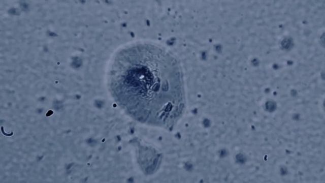 DarkRedBerries - GAMES