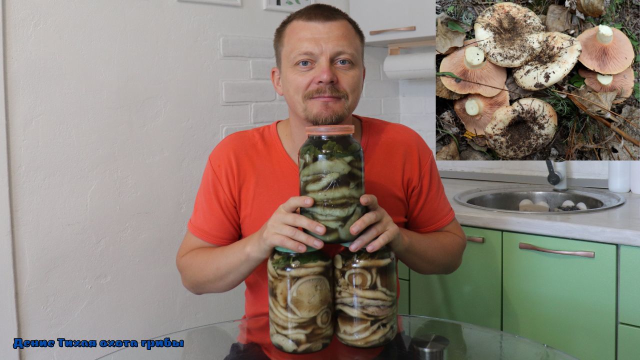 Холодная засолка груздей смотреть онлайн