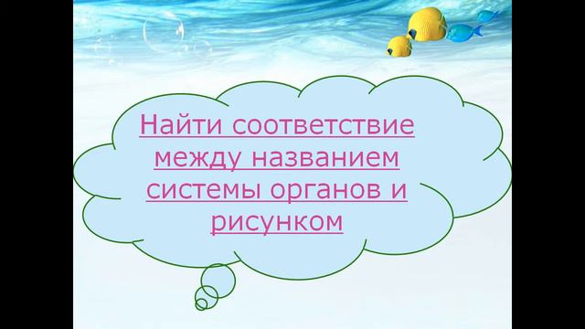 презентация моллюски 3 класс смотреть онлайн