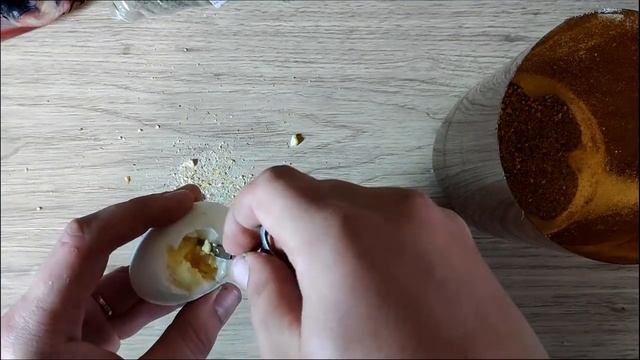 ОЧИЩЕННЫЙ КРУПНЫЙ ОПАРЫШ ЗА 4 ДНЯ В ДОМАШНИХ УСЛОВИЯХ | КАК РАЗВОДИТЬ БОЛЬШОГО ОПАРЫША ДЛЯ РЫБАЛКИ