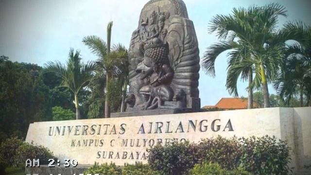 Мой город Сурабая Surabaya