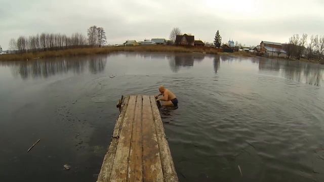 Тюлени 2 0 28 11 15 смотреть онлайн