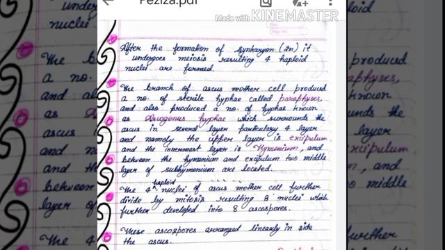 Bsc 1st year notes ///(Fungi Peziza) in Hindi and English смотреть онлайн