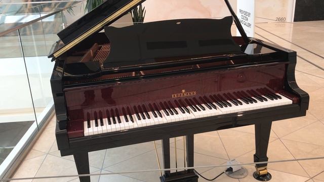 Piano plays Rossini’s Barber of Seville смотреть онлайн