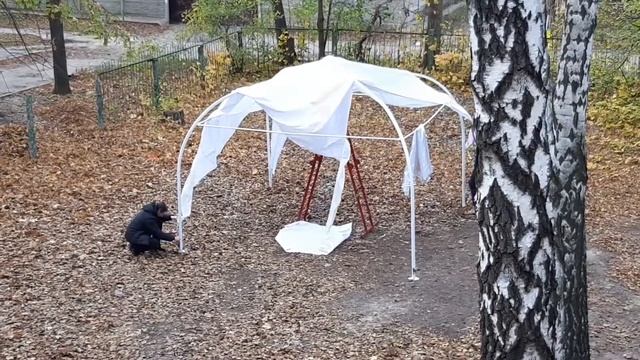 Монтаж арочного шатра 4х4м Novatent Харьков