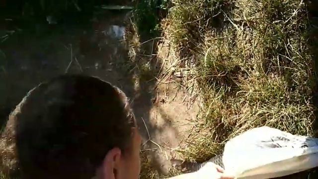 Ловля белого амура. Часть 2 смотреть онлайн