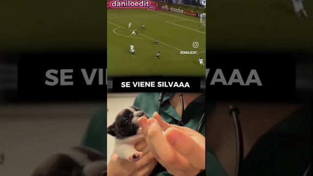 семьено Сильваааааааа