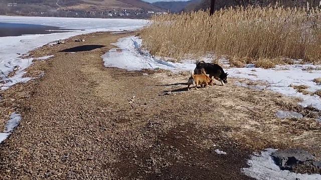 Я в Здесь и Сейчас. Морское озеро. Найди свою Тишину. смотреть онлайн