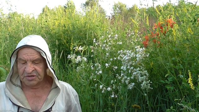 Рассказы об оленях Паша и Павел , Ландо , Анадякан смотреть онлайн