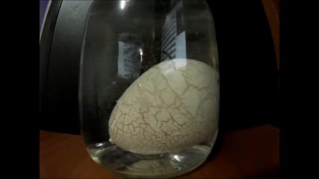 Fix Price Play The Game Яйцо с игрушкой 