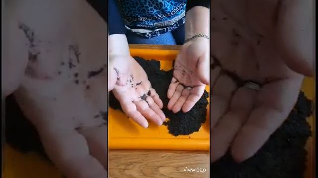 Играем с песком вместе с воспитателем МБДОУ №23 Светланой Михайловной Фоменко смотреть онлайн