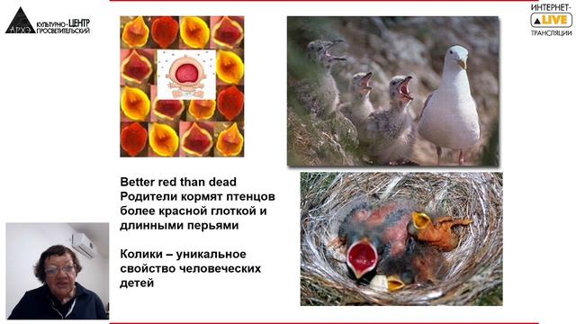 Жанна Резникова: "Животное в человеке и человеческое в животных" смотреть онлайн