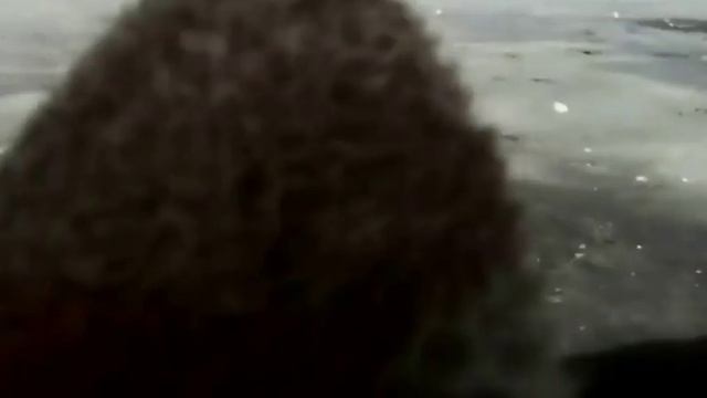 САМЫЕ ЛУЧШИЕ ПРИКОЛЫ НА РЫБАЛКЕ 2017 смотреть онлайн