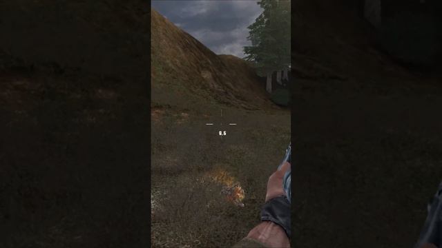 Подземные артефакты - Сталкер: Тень Чернобыля #Shorts смотреть онлайн