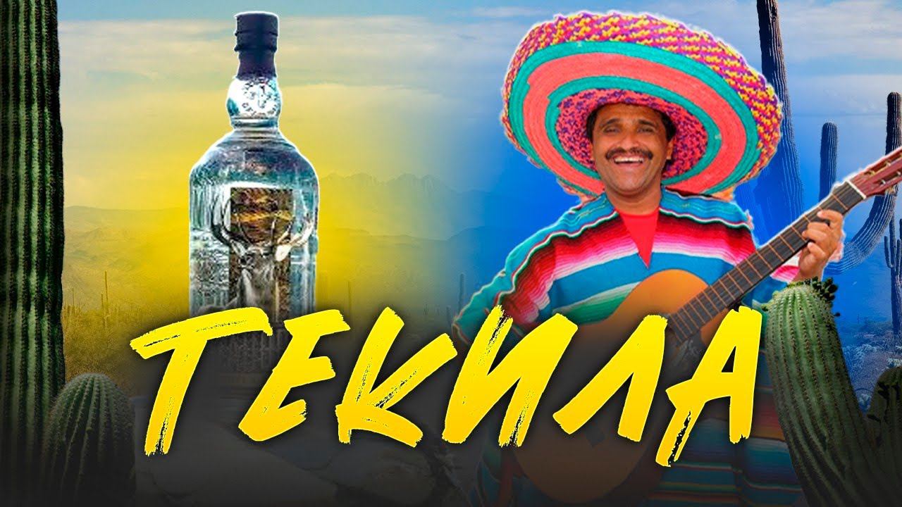 ТЕКИЛА В ДОМАШНИХ УСЛОВИЯХ. #андрейсэмов #текила смотреть онлайн