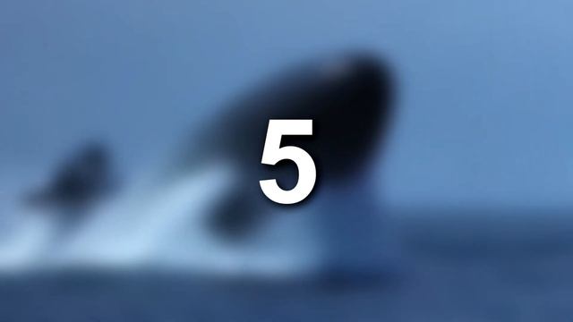 10 Najpotężniejszych OKRĘTÓW PODWODNYCH na Świecie смотреть онлайн