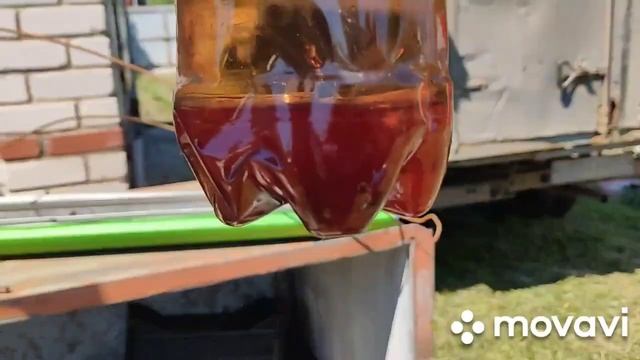Шершни и осы,одолели пасеку,готовлю и развешиваю ловушки. смотреть онлайн