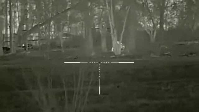 Geni 35 /2 смотреть онлайн