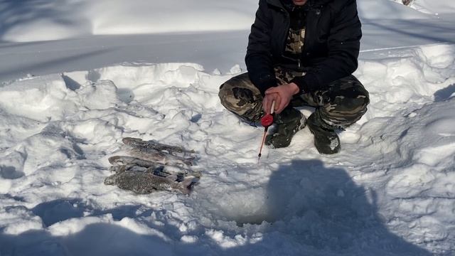 Рыбалка зимой на крупного хариуса в маленькой таёжной речке big black grayling смотреть онлайн