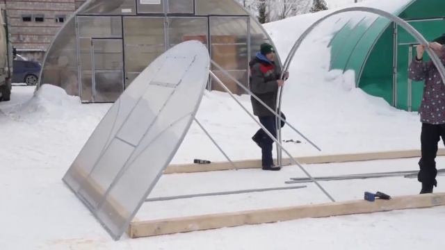 Сборка и установка теплицы  Бетта Ц  3х6м от компании  Воля
