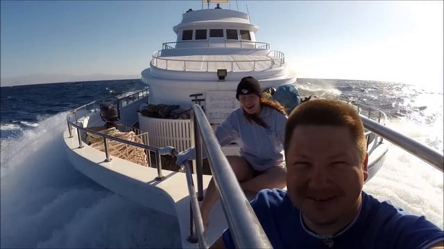 Море Люди Дайвинг смотреть онлайн