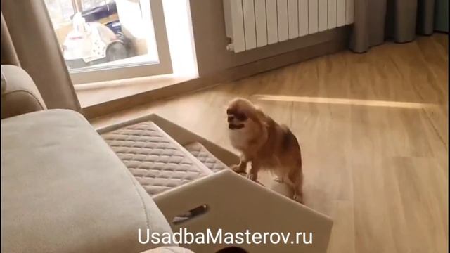 Прикроватная Лесенка-домик для собаки. Ступеньки для собак из дерева от производителя смотреть онлайн