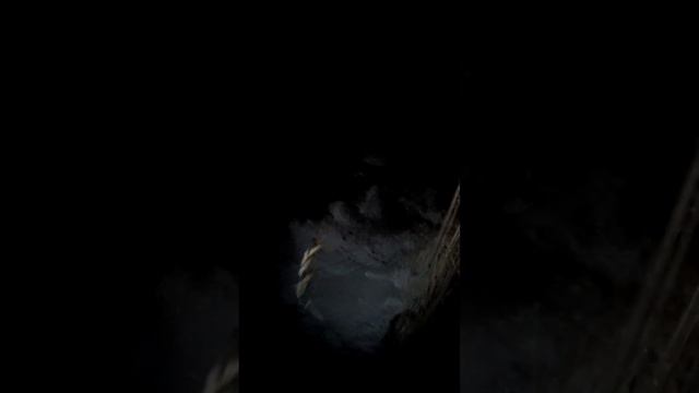 Охота до полной темноты с зависанием зверька на дереве. смотреть онлайн