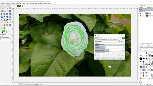 Tutorial Gimp - Cosa sono i livelli? смотреть онлайн