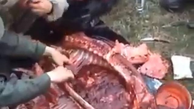 У коренных хантов свой рецепт мяса.))) Не самое приятное зрелище