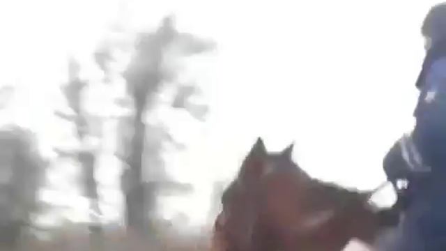 Провительство тянет с нас деньги куда? Копам на крутыу тахи смотреть онлайн