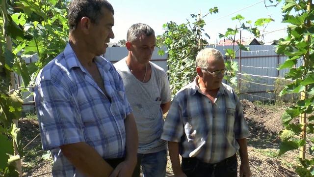 Виноградник Мартёха Владимира Семёновича (Приморский край, 2017 г.) смотреть онлайн