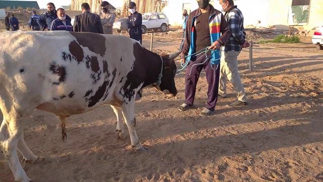 Beruniy mol bozori смотреть онлайн