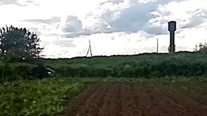 Мотоблок "Брайт-105" + роторная косилка против борщевика.