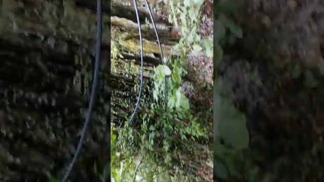 Водопады Архипо-Осиповка смотреть онлайн