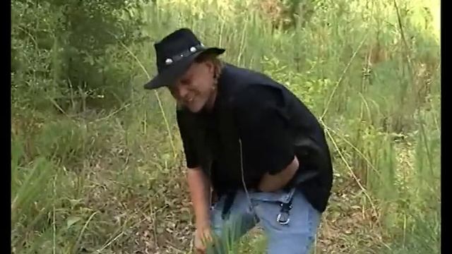 Wilderness Survivor the Game смотреть онлайн
