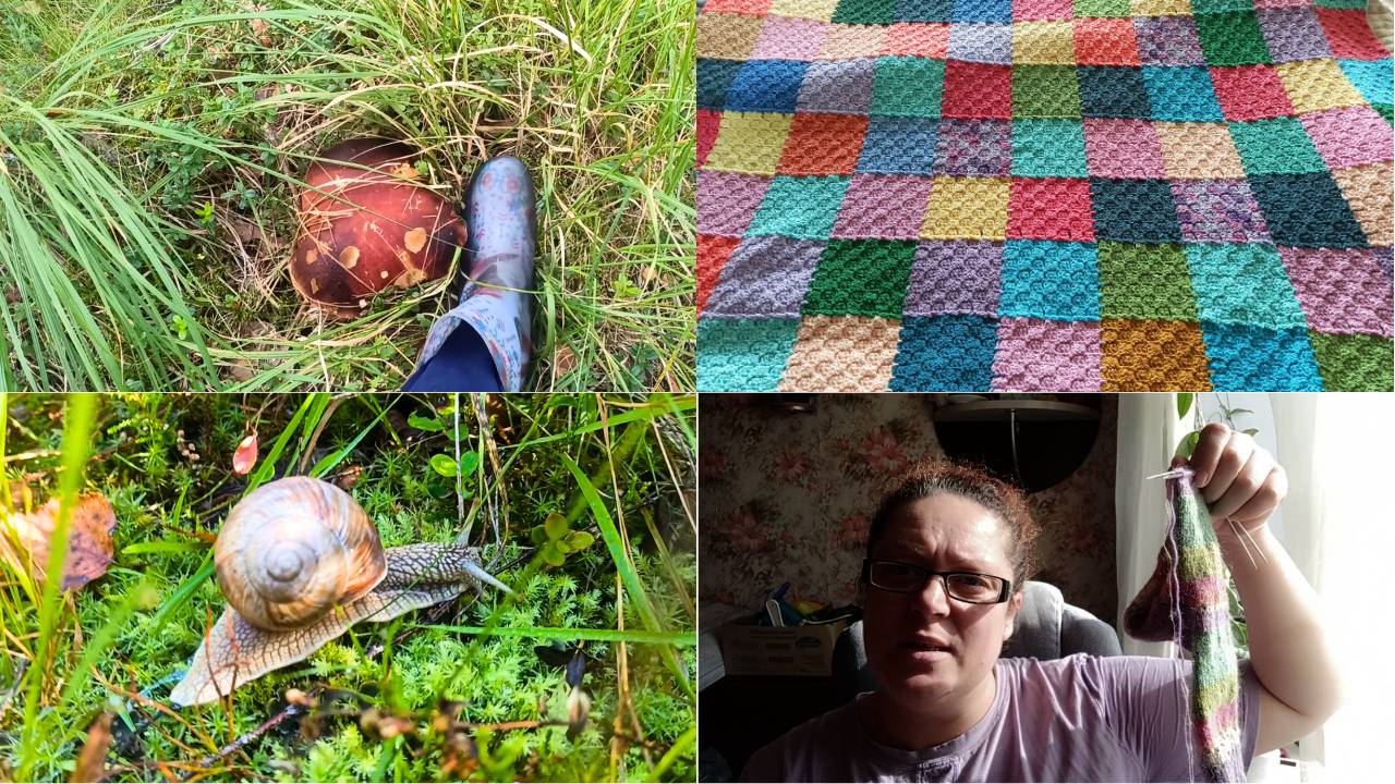 ВЛОГ: ДОВЯЗАЛА ПЛЕД/ПРОДВИЖЕНИЯ ПО ЗАГУЛУ