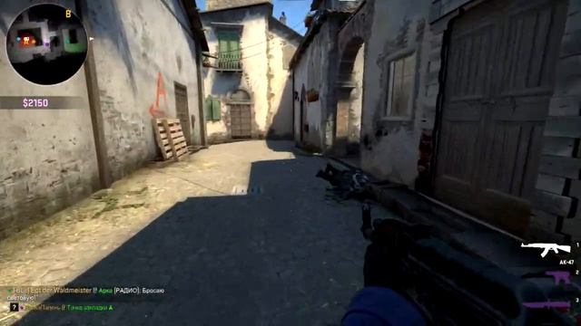 Крики чайки → CS:GO смотреть онлайн