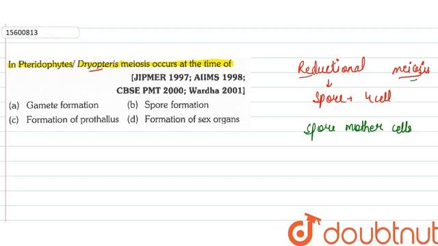 In pteridophytes/Dryopteris meiosis occurs at the time of смотреть онлайн